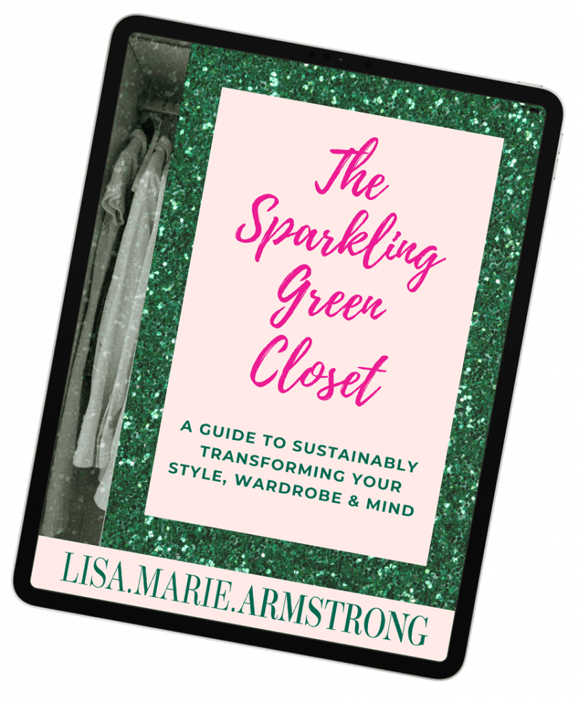 eBook: The Sparkling Green Closet by Lisa Marie Armstrong